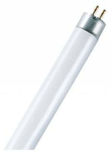 Leuchtstofflampe L 4 Watt 640 - Osram von Osram