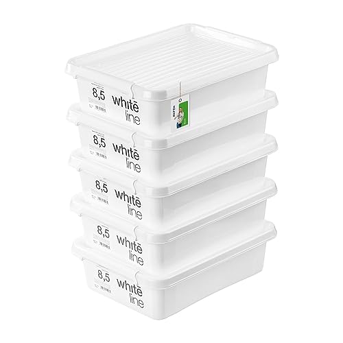PAFEN 5x Aufbewahrungsbox mit Transparent Deckel 8,5L - 40 x 30 x 11 cm - Boxen Aufbewahrung Stapelboxen mit Verschlussclips Kunststoffbehälter Kleiderboxen Organizer | Weiß von PAFEN