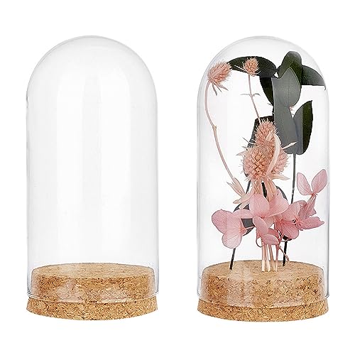 PandaHall Clear Cloche Glaskuppel Dome Vitrine Glocke Glocke Mit Korkboden Dekorationsflaschen Für Die Blumenaufbewahrung Zu Hause Weihnachtsfeierbevorzugung Dekoration 6.4x13.2 cm von PH PandaHall