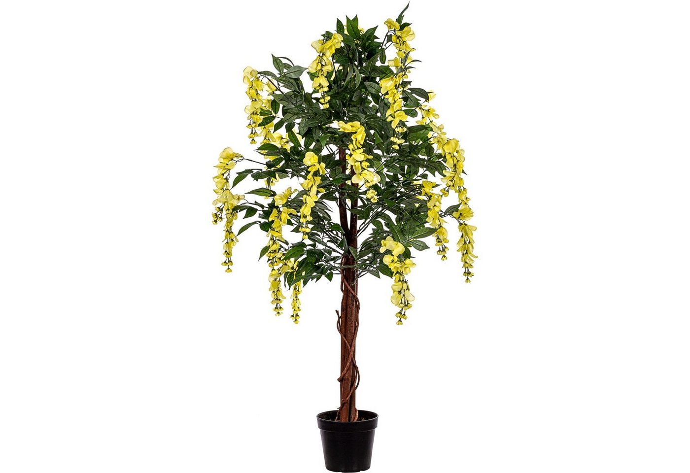 Kunstbaum Künstlicher Wisteria Baum Blauregen Kunstpflanze Wisteria, PLANTASIA, Höhe 120,00 cm, 120 cm, 756 Blätter, Echtholzstamm, Gelbe Blüten von PLANTASIA