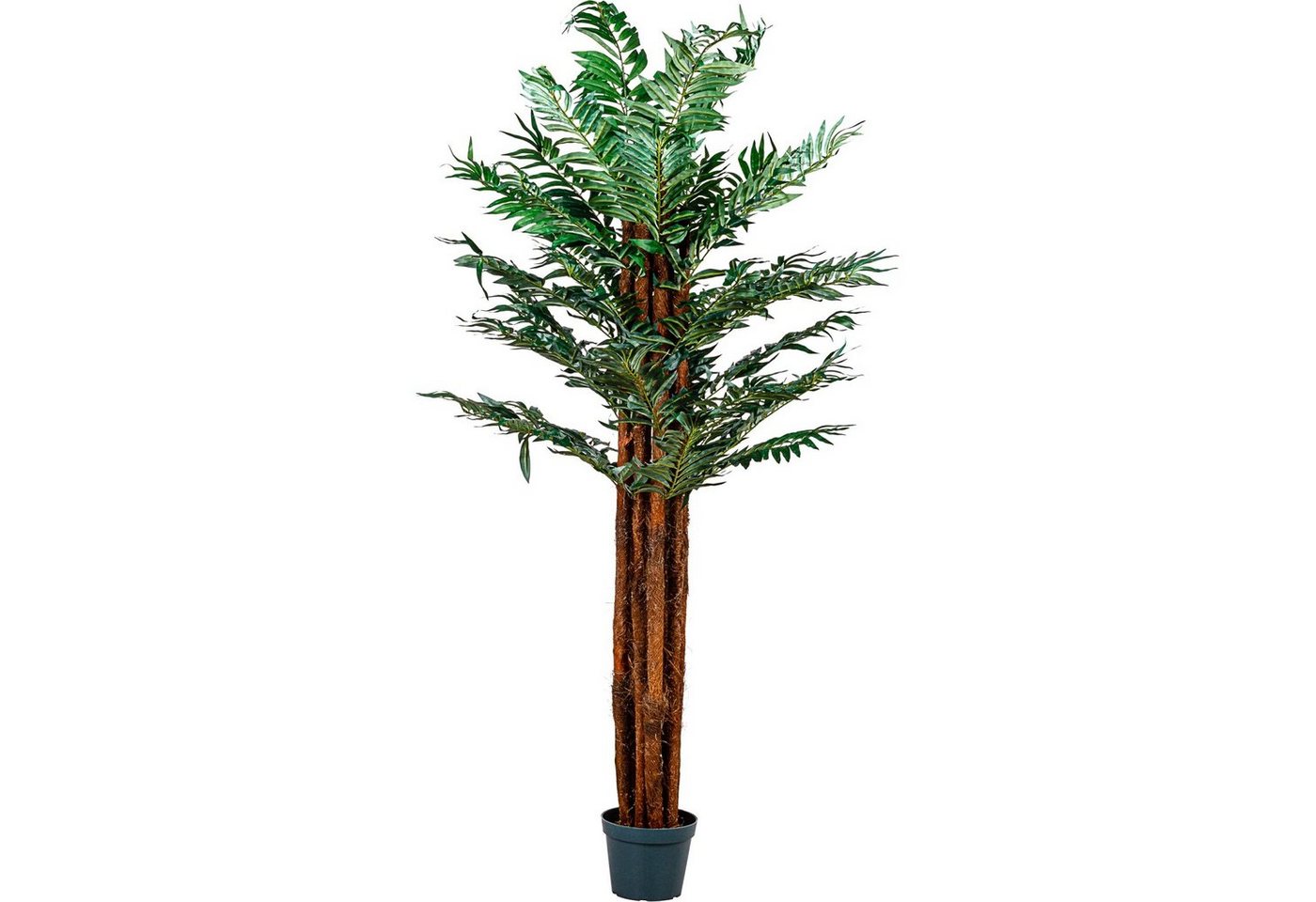 Kunstbaum Künstliche Areca Palme Kunstpflanze Kunstbaum Arecapalme, PLANTASIA, Höhe 180,00 cm, 180 cm, 912 Blätter, Echtholzstamm von PLANTASIA