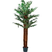 PLANTASIA® Arecapalme, Kunstpalme, Kunstpflanze, 180cm von PLANTASIA