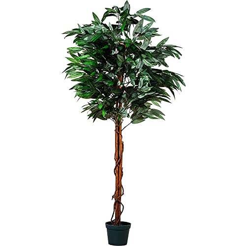 PLANTASIA Kunstpflanze Mangobaum 180 cm von PLANTASIA