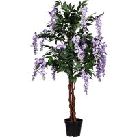Wisteria Blauregen, 120cm, Violette Blumen - Plantasia von PLANTASIA