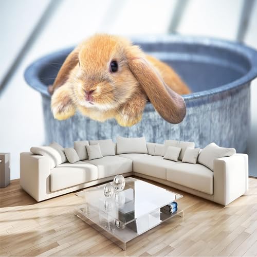 Tapeten Tier holländisches Kaninchen Fototapete 300 x 210 cm Modern Effekt Wandbild Poster Dekoration für Wohnzimmer Schlafzimmer Flur Vlies Tapete Wandtapete von PLEETS