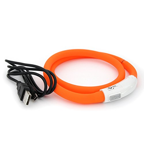 LED Hundehalsband in orange Leuchthalsband aufladbar per USB Halsband individuell kürzbar PRECORN von PRECORN