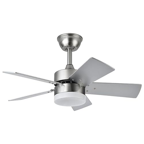 PRENDELUZ Ventilator mit 5 umkehrbaren Flügeln Buche/Silber und 6 Geschwindigkeitsstufen, mit Fernbedienung und Timer, 36 W Ventilator, einstellbare Temperatur von PRENDELUZ