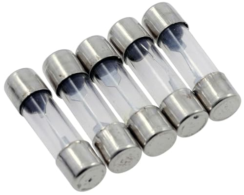 Glassicherung 25mm (15 Amp), 5er Pack von PW