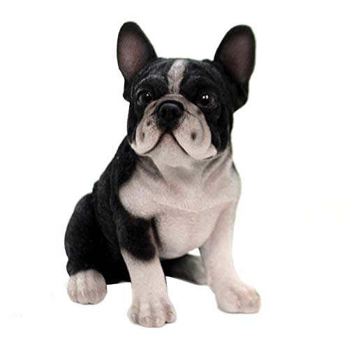 Pacific Giftware Französischer Bulldogge Welpen Figur - Realistisch lebensecht Hunde Welpe Baby Dekofigur Geschenk für Hundeliebhaber von Pacific Giftware
