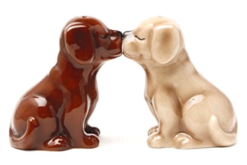 Pacific Giftware Labrador Puppies Salz- und Pfefferstreuer, magnetisch, Blond/Schokolade von Pacific Giftware