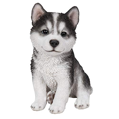 Pacific Giftware Realistic Animal Sitting Husky Puppy Collectible Home Decor Figurine von Pacific Giftware