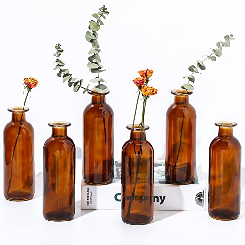 Patelai Bernsteinfarbene Glasvase Knospenvasen für Hochzeit Tischdekoration Apothekergläser Dekorative Antike Blumenvase der Hohen Klasse für Tafelaufsätze Hochzeit Braut, 6,3 x 2,2 Zoll (6 Stück) von Patelai