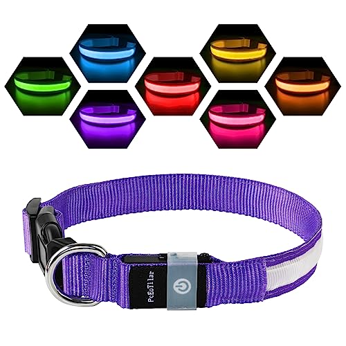 Leuchthalsband Hund Aufladbar USB-C, LED Halsband für Hunde Wasserdicht Hundehalsband Leuchtend 7 Farben Blinklicht Einstellbar Leichte Halsband Hunde für Kleine Mittlere Große Hunde, Lila L von PcEoTllar