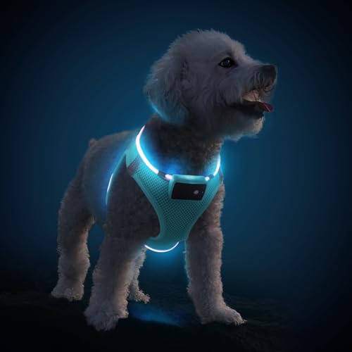 PcEoTllar Hundegeschirr Leuchtend, Leuchtgeschirr LED Aufladbar & Reflektierendes, Beleuchtetes Leuchtgeschirr für Welpe Klein Mittlere Hund, Atmungsaktiv Leucht Geschirr, Blau-S von PcEoTllar