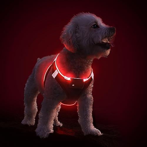 PcEoTllar Hundegeschirr Leuchtend USB Aufladbar Reflektierendes Leuchtgeschirr LED Leucht Brustgeschirr für Welpe Klein Mittelgroße Hund, Blinken Atmungsaktiv und Leichtgewicht, Schwarz Rot-M von PcEoTllar