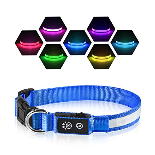 Leuchthalsband Hund Aufladbar USB-C, LED Halsband für Hunde Wasserdicht Hundehalsband Leuchtend 7 Farben Blinklicht Einstellbar Leichte Halsband Hunde für Kleine Mittlere Große Hunde, Blau L von PcEoTllar