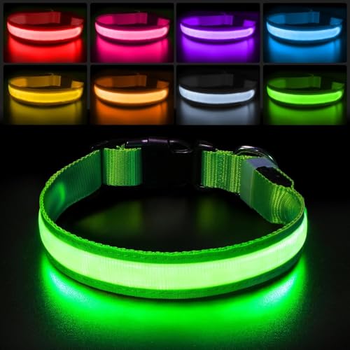 Leuchthalsband Hund Aufladbar USB-C, LED Halsband für Hunde Wasserdicht Hundehalsband Leuchtend 7 Farben Blinklicht Einstellbar Leichte Halsband Hunde für Kleine Mittlere Große Hunde, Grün S von PcEoTllar