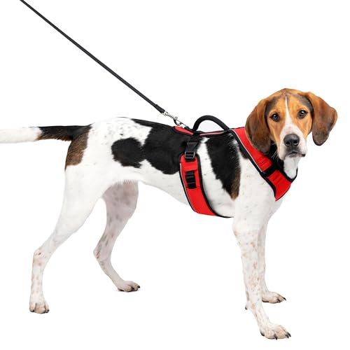 PetSafe EasySport Hundegeschirr, Komplett gepolstert mit elastischem Halsteil, Für Hunde von 29,5 kg bis 36 kg, Größe L, Rot von PetSafe