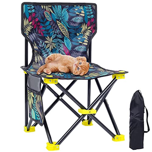 Pewell Campingstuhl | Klappstuhl mit Seitentasche - Zusammenklappbarer Stuhl, Klappstuhl, tragbarer Campingstuhl, strapazierfähig, stabil, faltbar für Camping, Ausflüge, Strand von Pewell