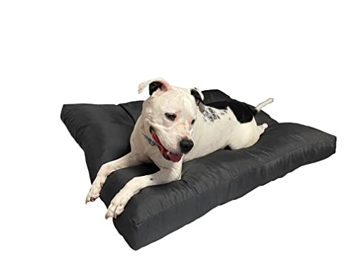 Pillows24 Hundebett in 3 Größen M, L und XL erhältlich, 10 cm hoch, Hundematte ideal für kleine, mittlere und große Hunde, waschbares Hundekissen, 100% Oxfort-Polyester, leicht zu reinigen von Pillows24