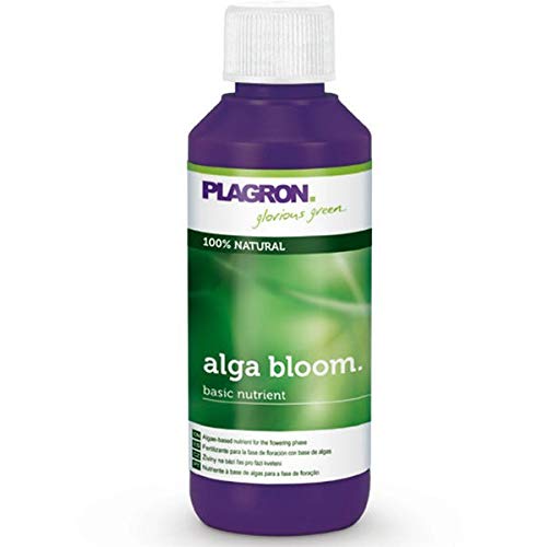 Alga Bloom 100 ml – Plagron von Plagron