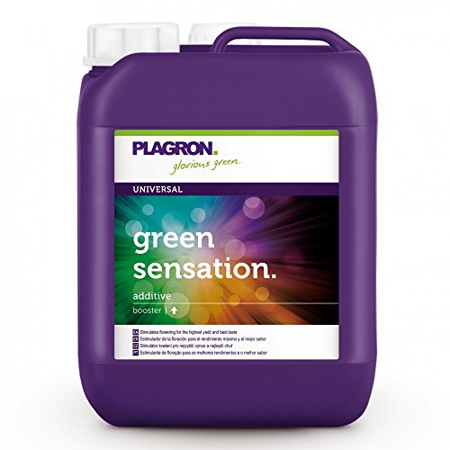 Plagron Green Sensation, 5 L, grün von Plagron