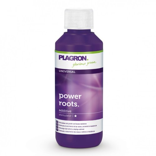 Plagron Power Roots 100 ml von Plagron