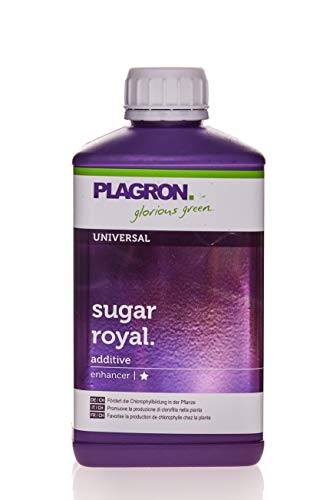 Plagron Sugar Royal 500 ml von Plagron