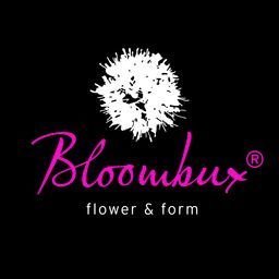 !!WELTNEUHEIT!! Bloombux® – flower & form by INKARHO® 25-30 cm breit im 2 Liter Pflanzcontainer von PlantaPro