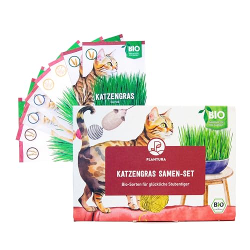 Plantura Bio-Katzengras Samen-Set, Premium Mix mit 4 Sorten, weiche Halme, für 8 Töpfe von Plantura