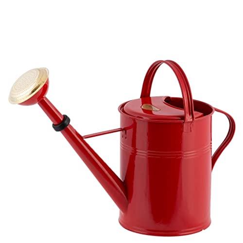 PLINT 9L Watering Can - Modern Style Watering Pot for Indoor and Outdoor House Plants - Coloured Galvanised Powder Coated Steel - Metal Design with Narrow Spout and High Handle - (Red) von Plint