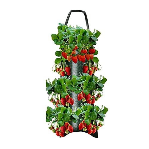 Pflanztaschen Hängend Vertikal Garten Erdbeere Pflanzsack 8 Löcher Senkrechter Wandmontierter Pflanztasche Innen Draussen Vertikaler Garten Pflanzen Tasche Grow Tasche Für Hof Garten Balkon Home Decor von Pomrone