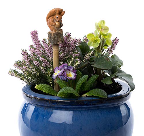 Cane Companions Beatrix Potter Eichhörnchen Nuskin Stab Topper – Handgefertigte Blumentopf Gartendekoration – Outdoor-Figur von Potty Feet