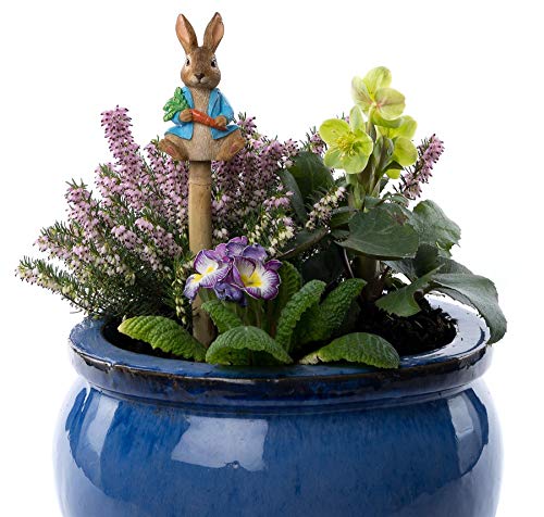 Cane Companions Beatrix Potter Peter Hase Stake Topper – Handgefertigter Blumentopf Garten Ornament – Outdoor Figur von Potty Feet