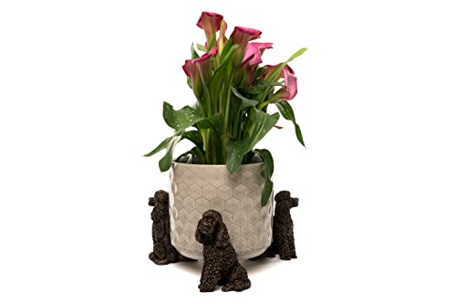 Potty Feet Dekorative Blumentopffüße mit Pudelmotiv, bronzefarben, 3 Stück von Potty Feet