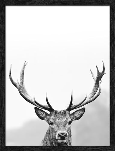 Pro-Art gerahmtes Wandbild Slim Scandic Grey Dead Head III, 42,5x32,5 cm von Pro-Art