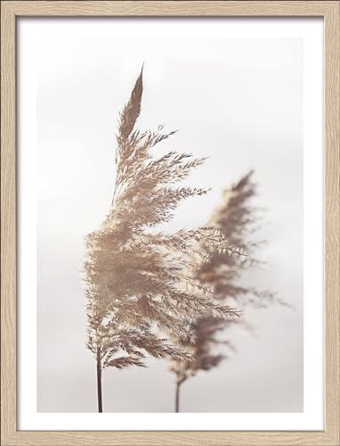 Pro-Art gerahmtes Wandbild Slim Scandic In The Breeze III, 42,5x32,5 cm von Pro-Art