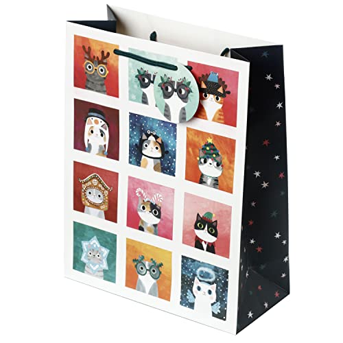 Umschlag Weihnachtsgeschenk - Planet Cat - Katzen - Angie Rozelaar - L von Puckator
