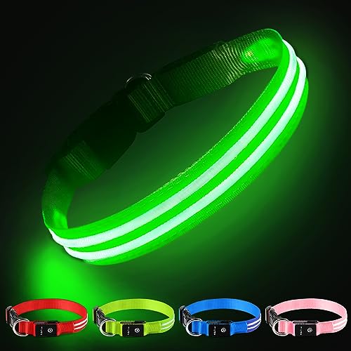 PcEoTllar Hundehalsband Leuchtend Aufladbar, Leuchthalsband Hund Wasserdichtes Einstellbare Blinklicht LED Halsband Hund für Kleine Mittlere Große Hunde, Sichtbarkeit im Dunkeln, Grün-S von PcEoTllar