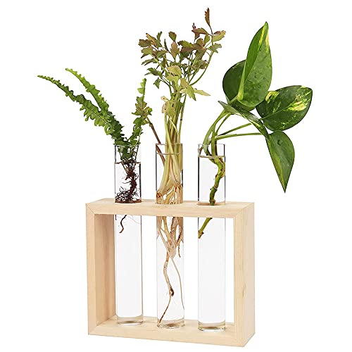 QQEE Dekovase Deko Holz Halte, Kleine Vasen Deko Set, Vintage Glas Reagenzgläser, Schreibtisch Pflanzen Terrarium, Hydrokultur Vase aus Holz, für Hydrokultur, Pflanzen, Zuhause, Garten, Büro von QQEE