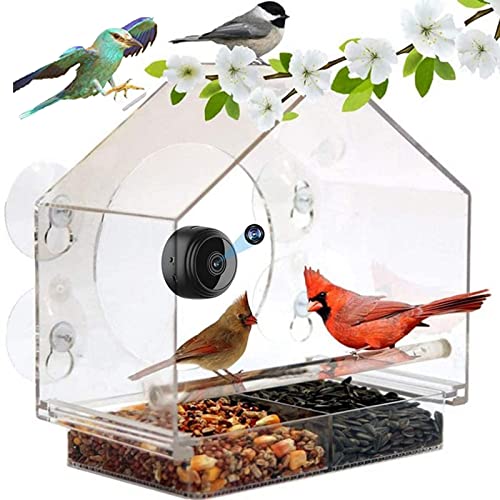 QTANZIQI Fenster-Vogelfutterhäuschen mit Smart-Kamera und Saatschale - Verbesserte Absaugung, Abflusslöcher - Vögel aus nächster Nähe einfangen von QTANZIQI