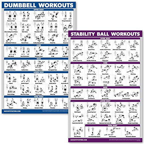 QuickFit Kurzhanteltraining und Übungsball Poster-Set – laminiertes 2 Diagramm-Set – Kurzhantelübung & Stabilität/Yoga-Ball Workouts, LAMINATED, 18" x 27" von QUICKFIT