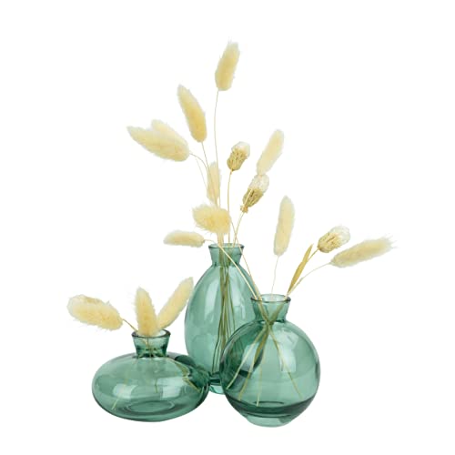QUVIO Vasen aus Glas - Vasen klein - Glasvase - Blumenvase - Set von 3 von QUVIO