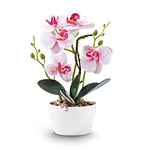 Qucover Klein Kunstpflanze Orchidee Phalaenopsis pink mit Übertopf aus Keramik weiß，Schön Dekoration für Schlafzimmer Wohnzimmer Balkon Badezimmer Zimmer Tischdeko.(Pink, 28cm von Qucover