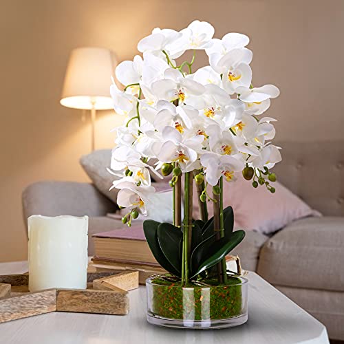Qucover Orchideen künstliche Übergroß Künstliche Orchideen im Glastopf Kunstblume Dekoblume Phalaenopsis Deko Blumen künstlich Orchideen wie Echt Dekorative Orchidee aus Verdicktes Glas (Weiß,ca.62cm) von Qucover