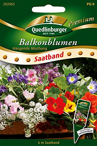 Balkonblumen hängende Mischung von Quedlinburger Saatgut von Quedlinburger