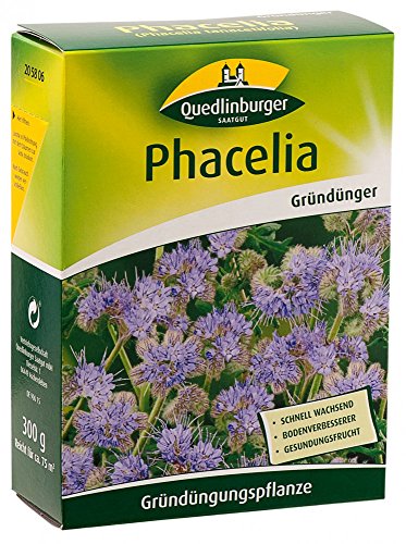 Quedlinburger 205806 Phacelia 300 g (Gründünger) von Quedlinburger