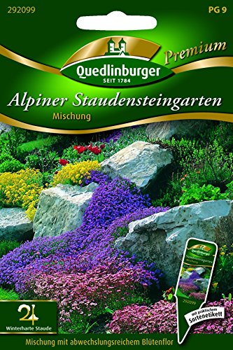 Alpiner Staudensteingarten QLB Premium Saatgut Blumenmischung von Quedlinburger
