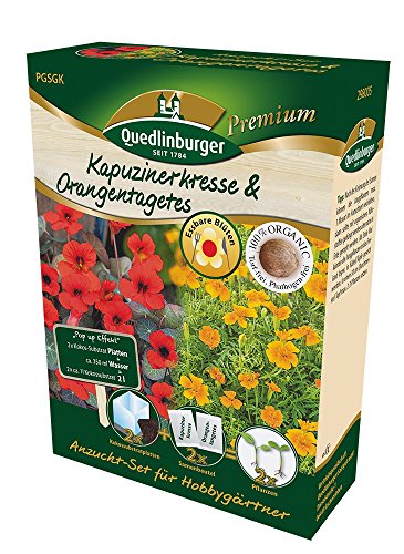 Anzuchtset Kapuzinerkresse & Orangentagetes von Quedlinburger Saatgut von Quedlinburger