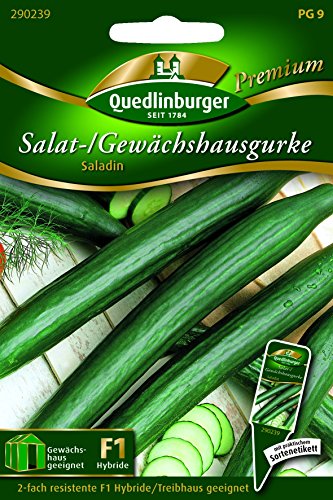 Gurken Gewächshaus- Saladin - Cucumis sativus L. QLB Premium Saatgut Gurken von Quedlinburger